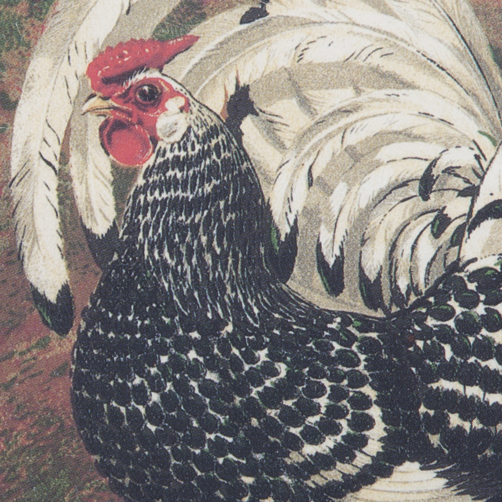 After J.W. Ludlow Offset Lithographs of Poultry