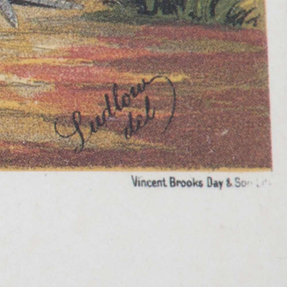 After J.W. Ludlow Offset Lithographs of Poultry