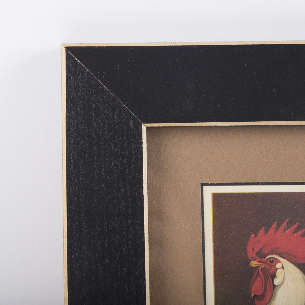 After J.W. Ludlow Offset Lithographs of Poultry