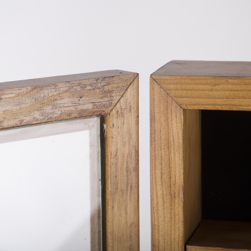 Wood and Glass Shadow Box