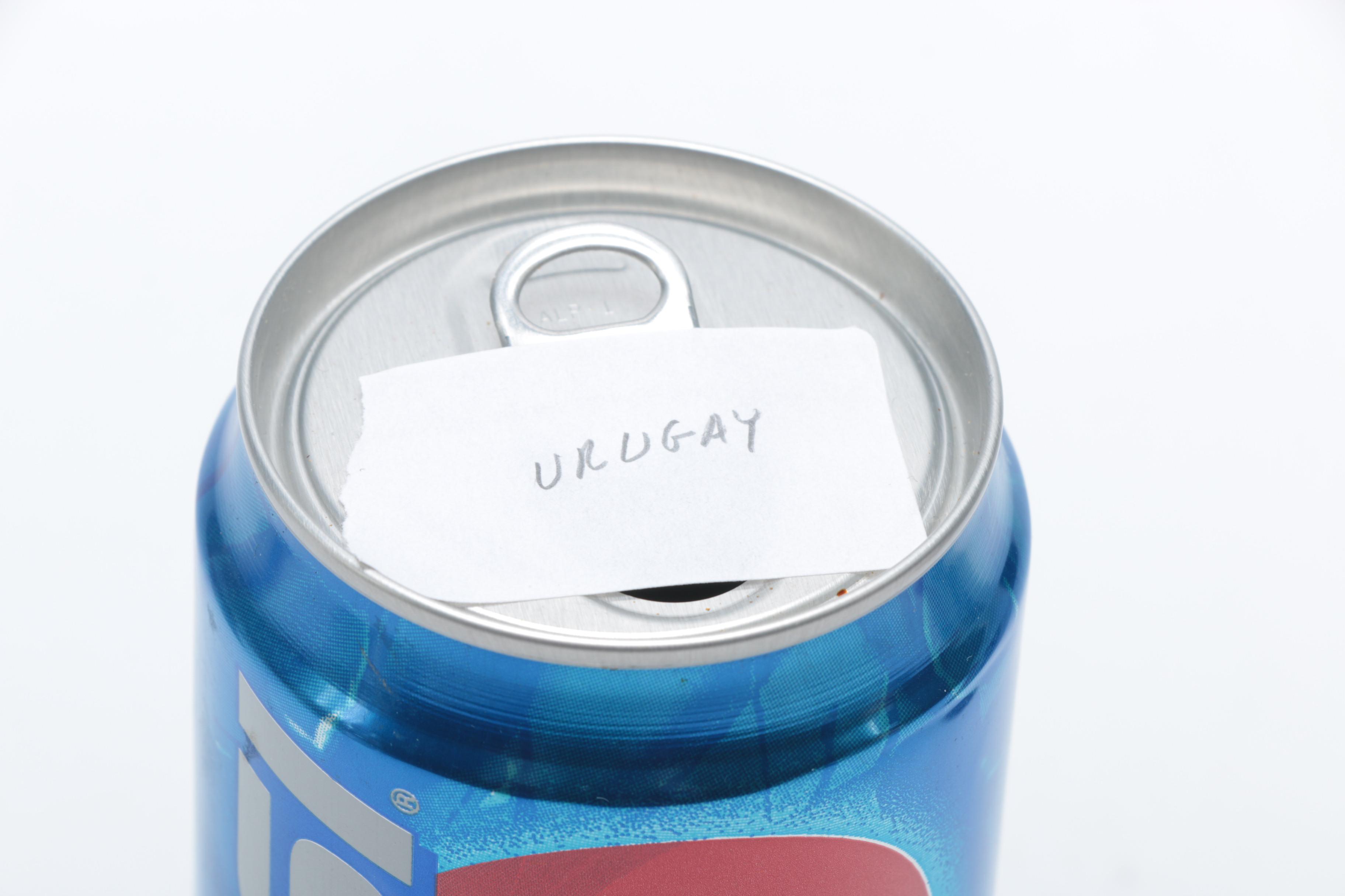 Collection of Pepsi Bottles and Cans