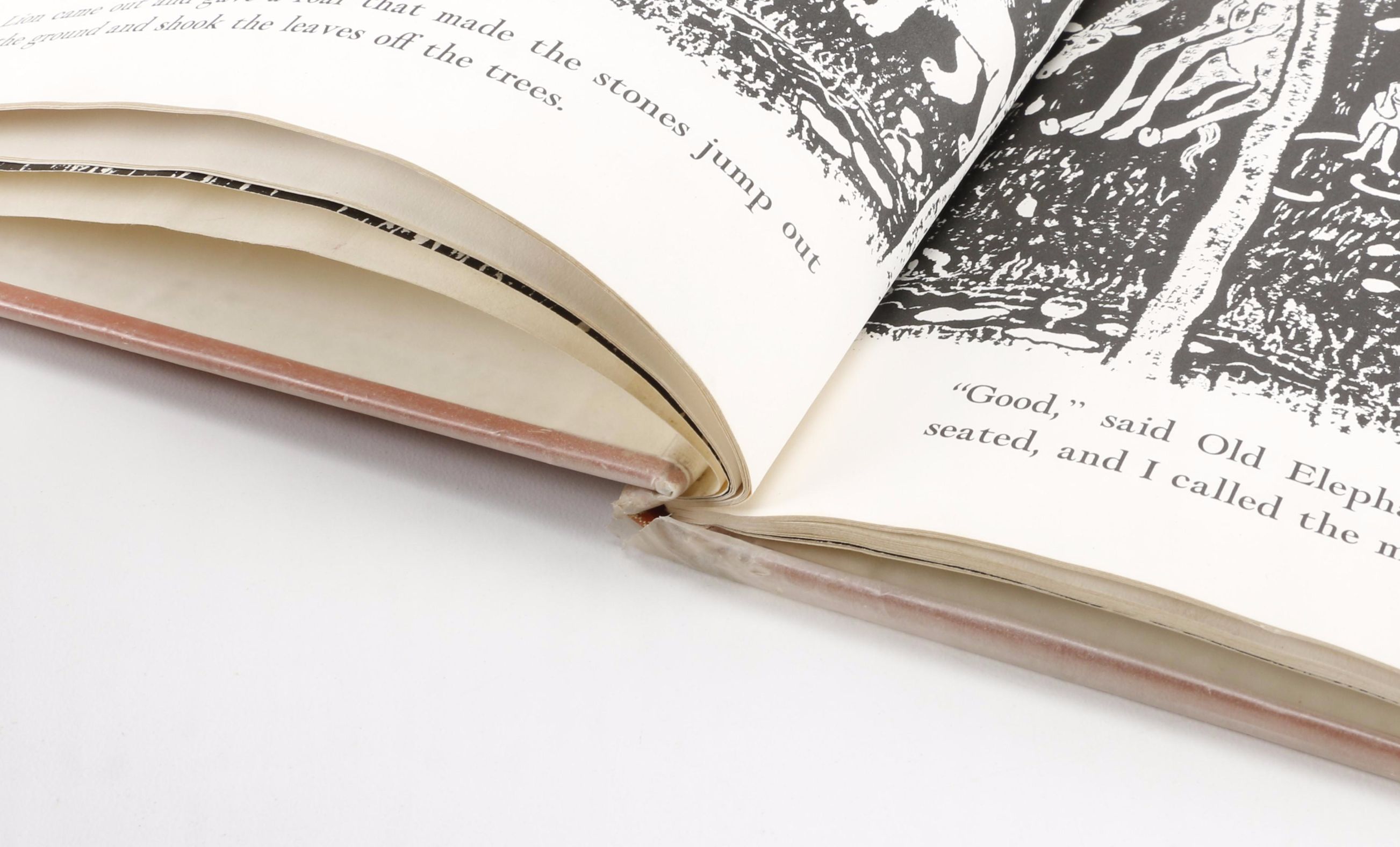 Marie Hall Ets Children's Books