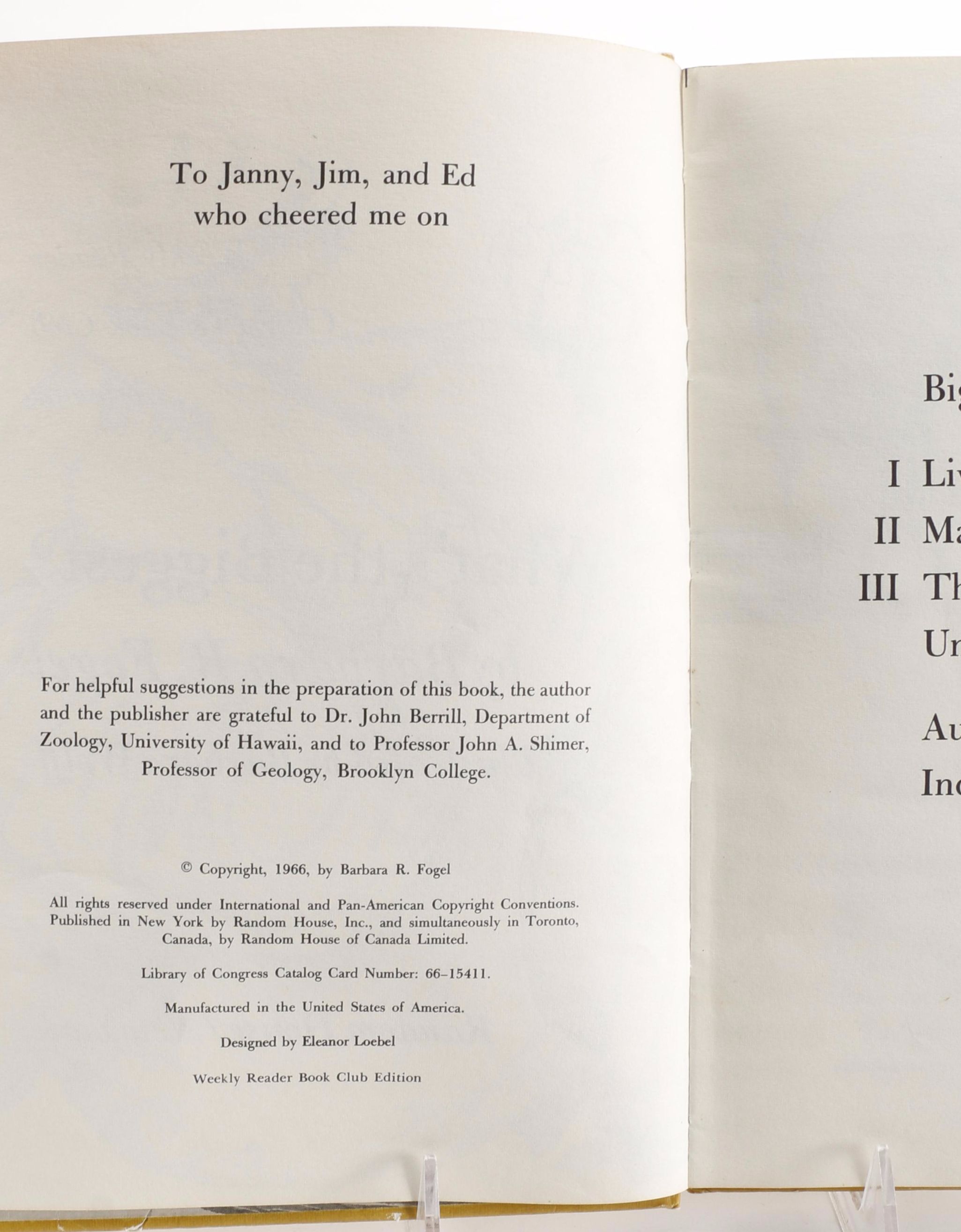 Children's Animal Books