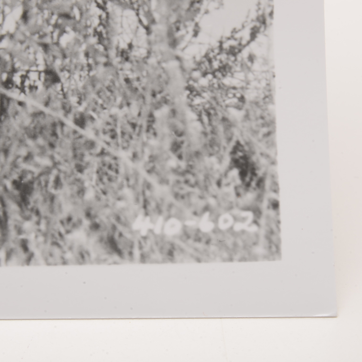 Clayton Moore "The Lone Ranger" Signed Photo