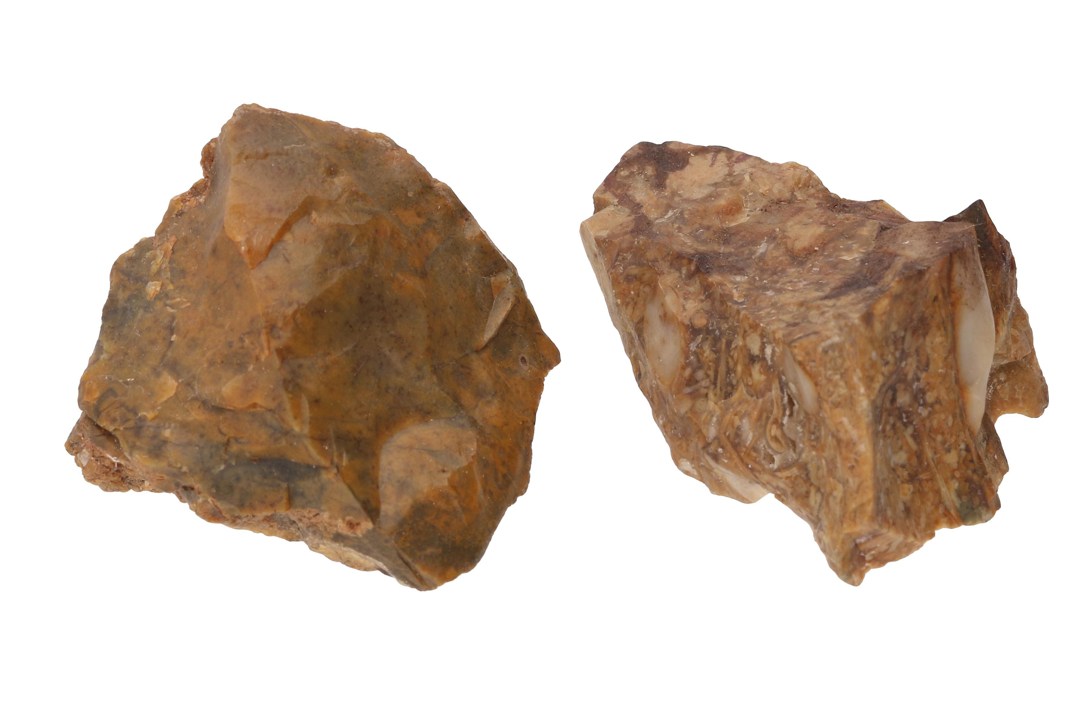 Mineral and Fossil Specimens