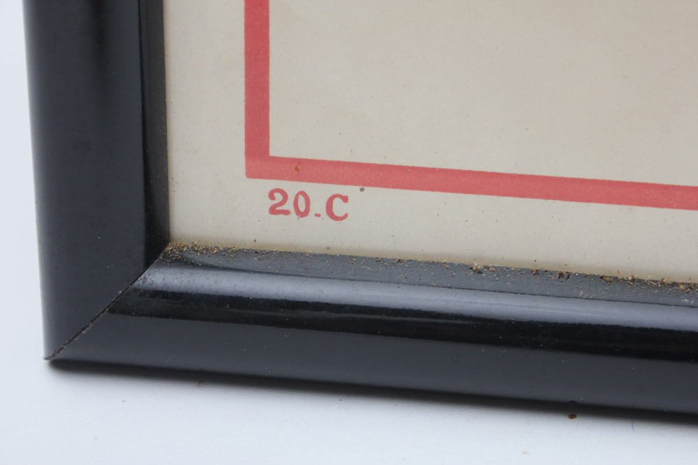 Original 1919 WWI "The Victory Loan Flyers" Poster