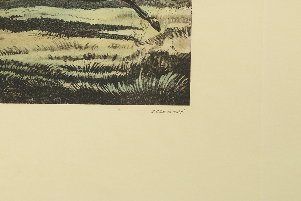 After Henry Alken Hand-Colored Engravings on Paper of a Fox Hunt