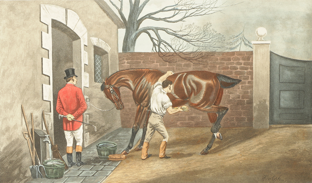 C.R. Stock Hand-Colored Engravings on Paper