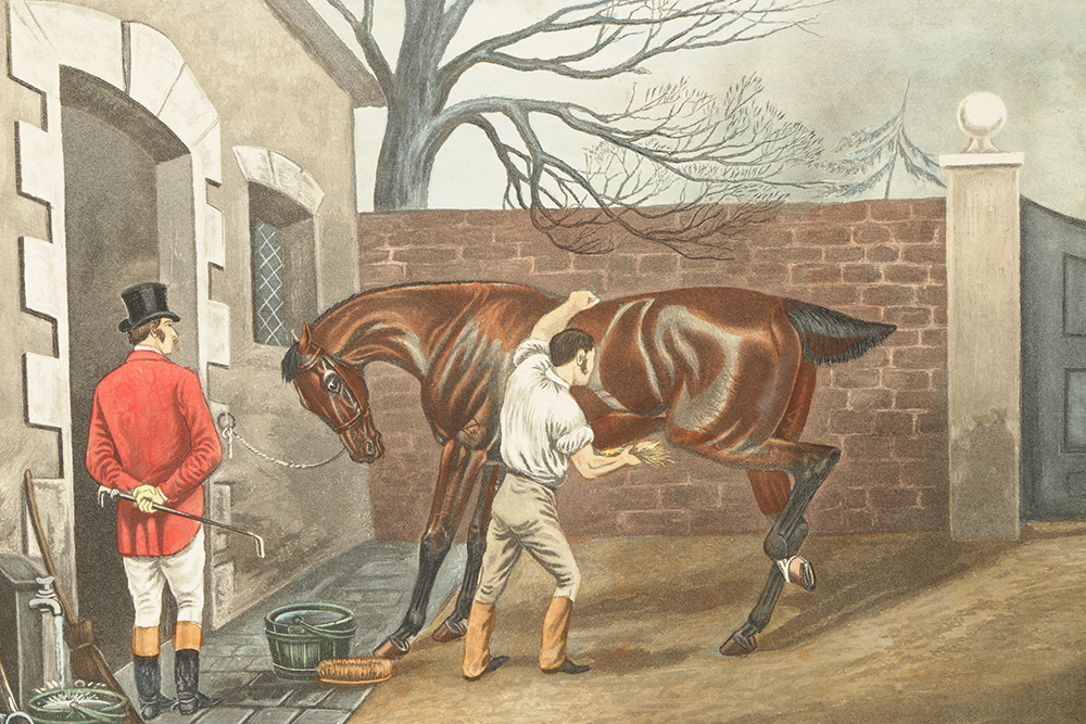 C.R. Stock Hand-Colored Engravings on Paper