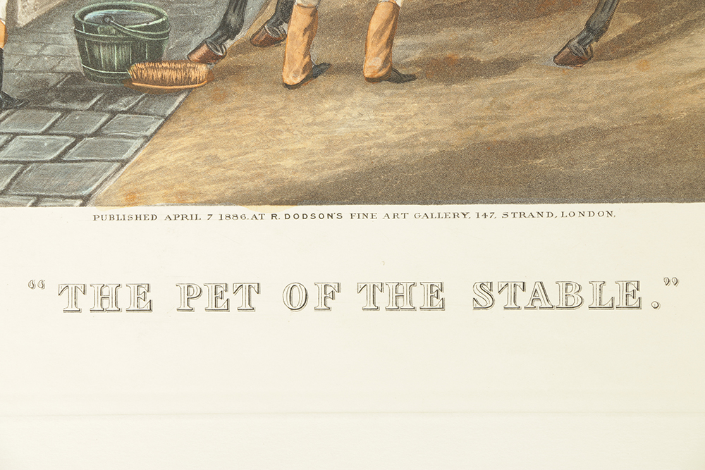 C.R. Stock Hand-Colored Engravings on Paper