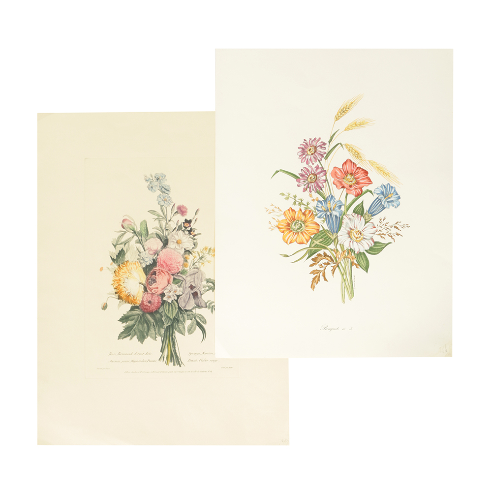 Pair of Lithographs on Paper of Botanical Compositions