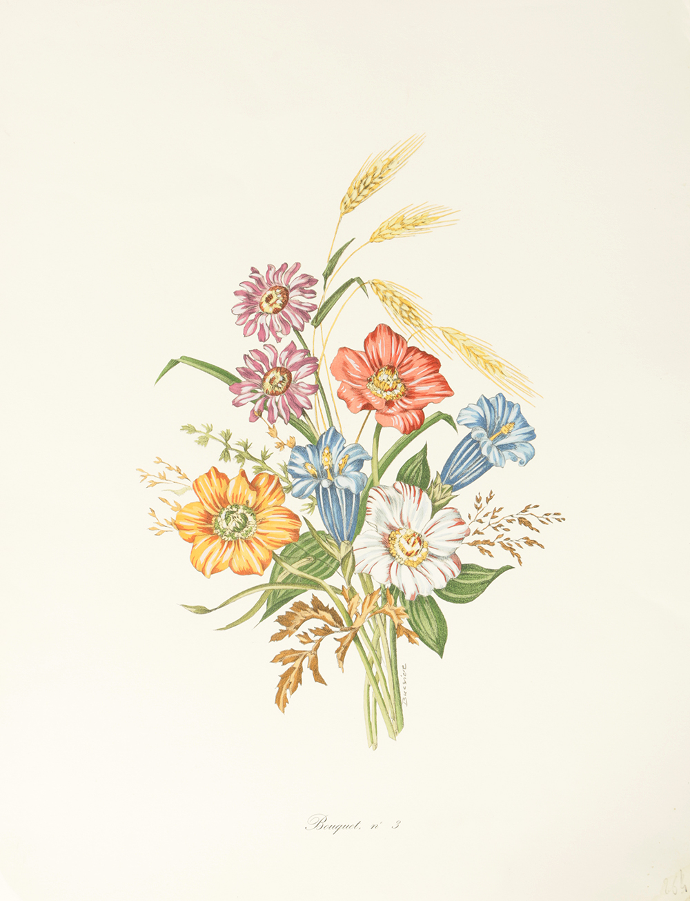 Pair of Lithographs on Paper of Botanical Compositions