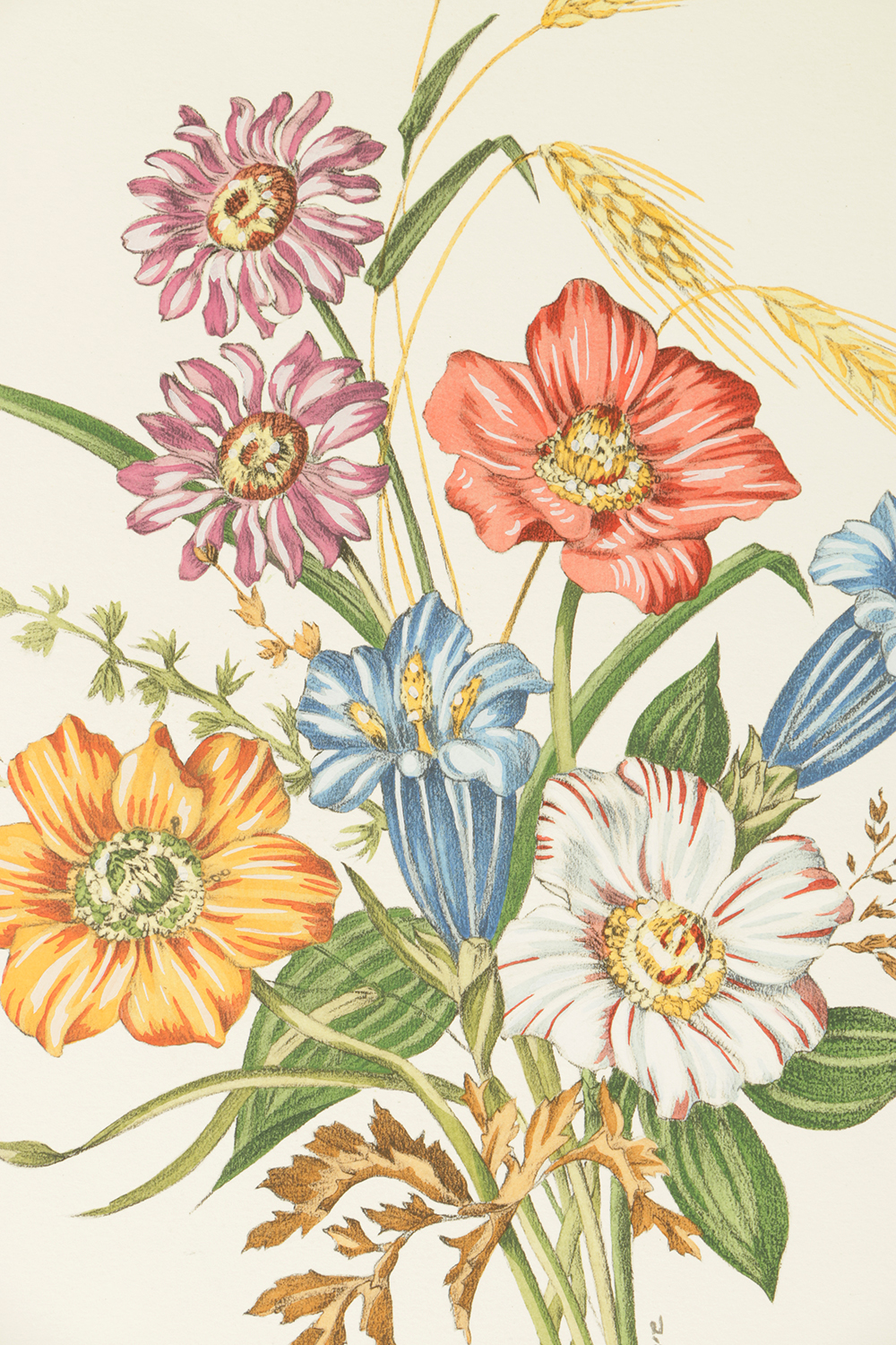 Pair of Lithographs on Paper of Botanical Compositions