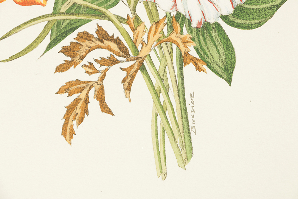 Pair of Lithographs on Paper of Botanical Compositions