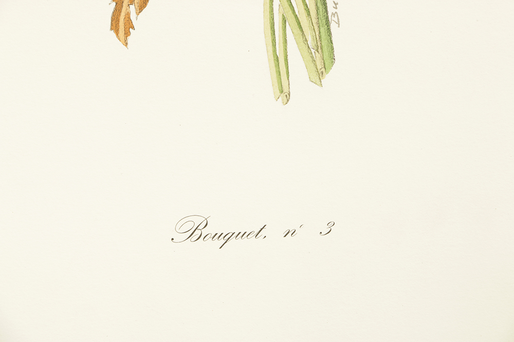 Pair of Lithographs on Paper of Botanical Compositions