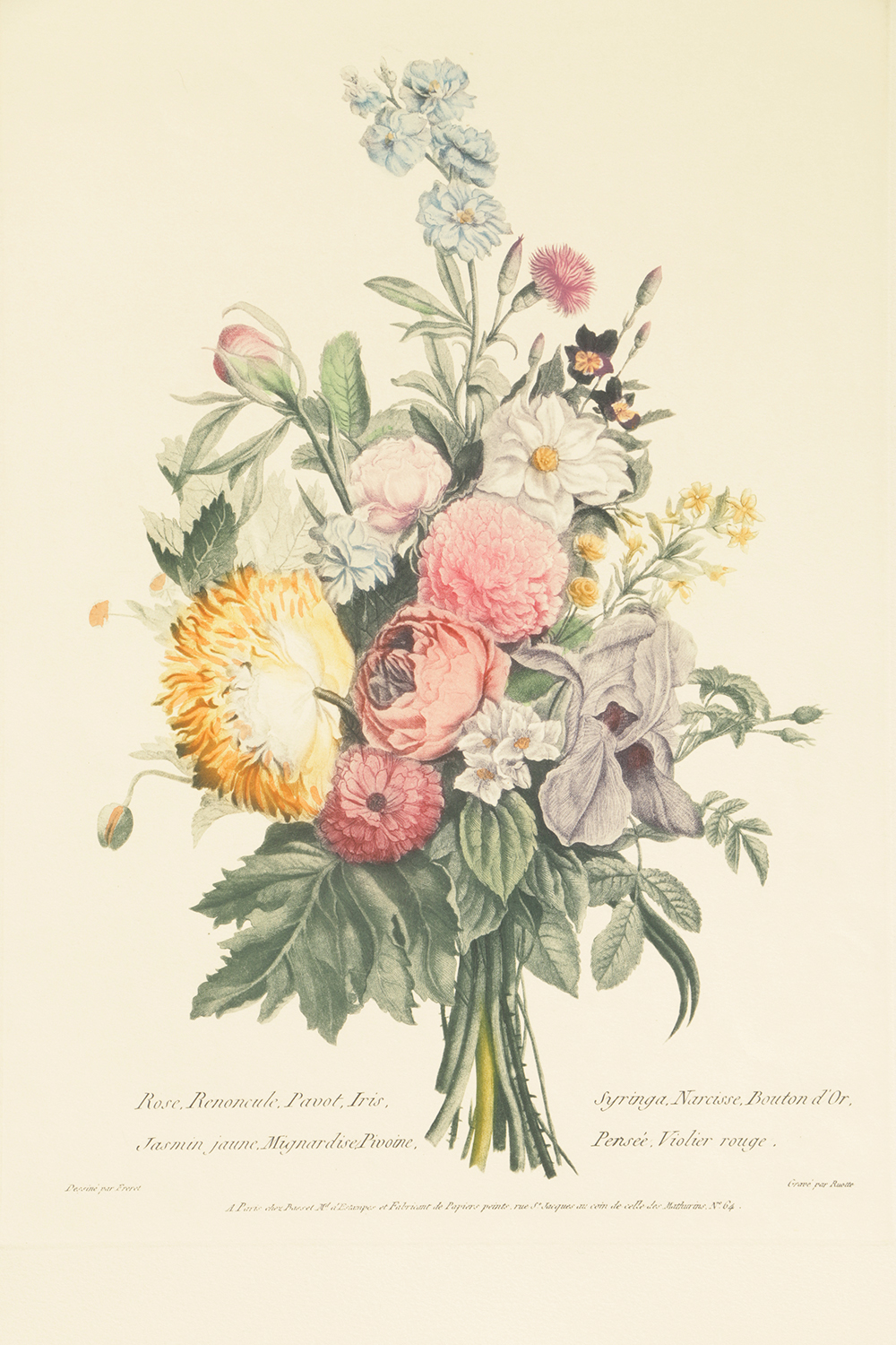 Pair of Lithographs on Paper of Botanical Compositions