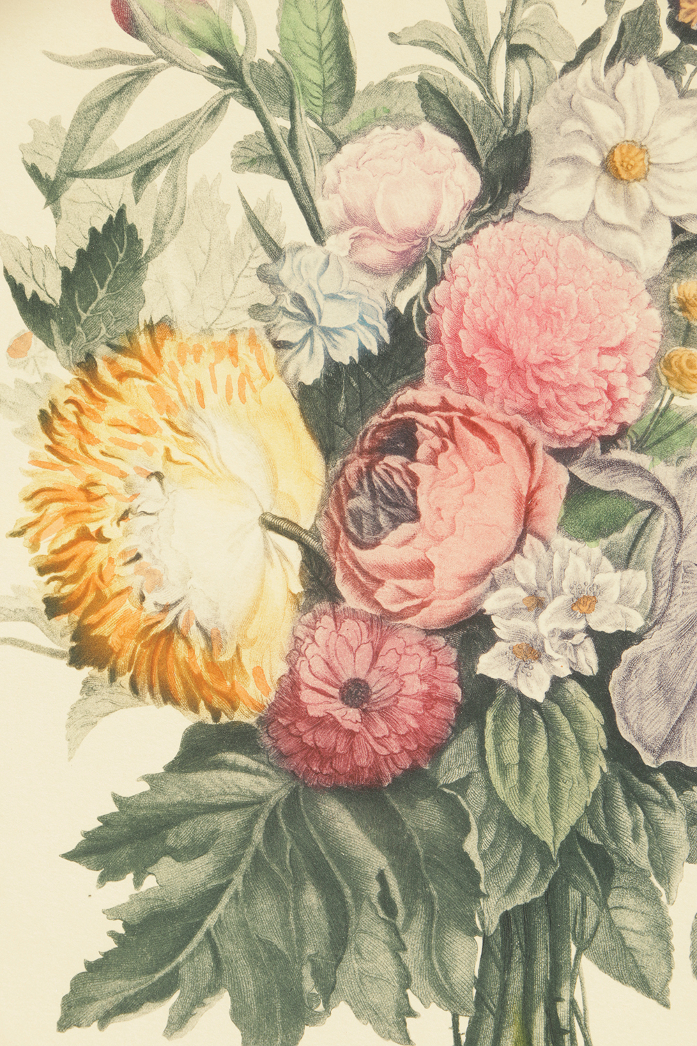 Pair of Lithographs on Paper of Botanical Compositions