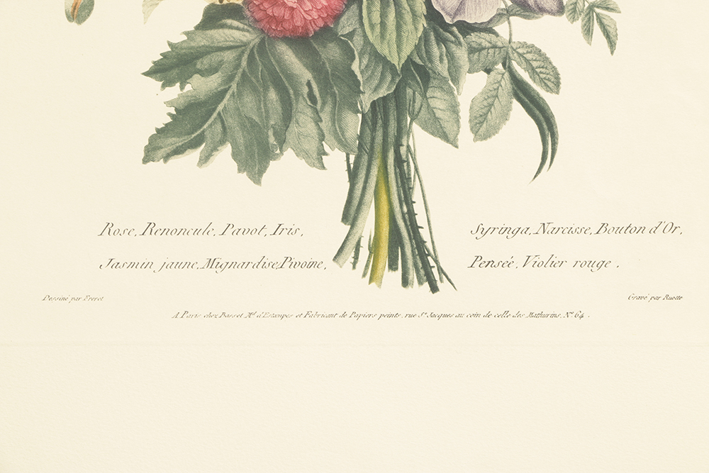 Pair of Lithographs on Paper of Botanical Compositions