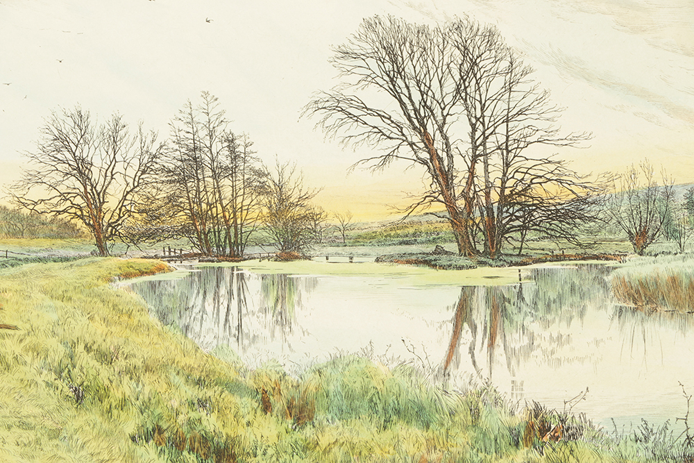 Fred Slocombe Hand-Colored Engravings on Paper