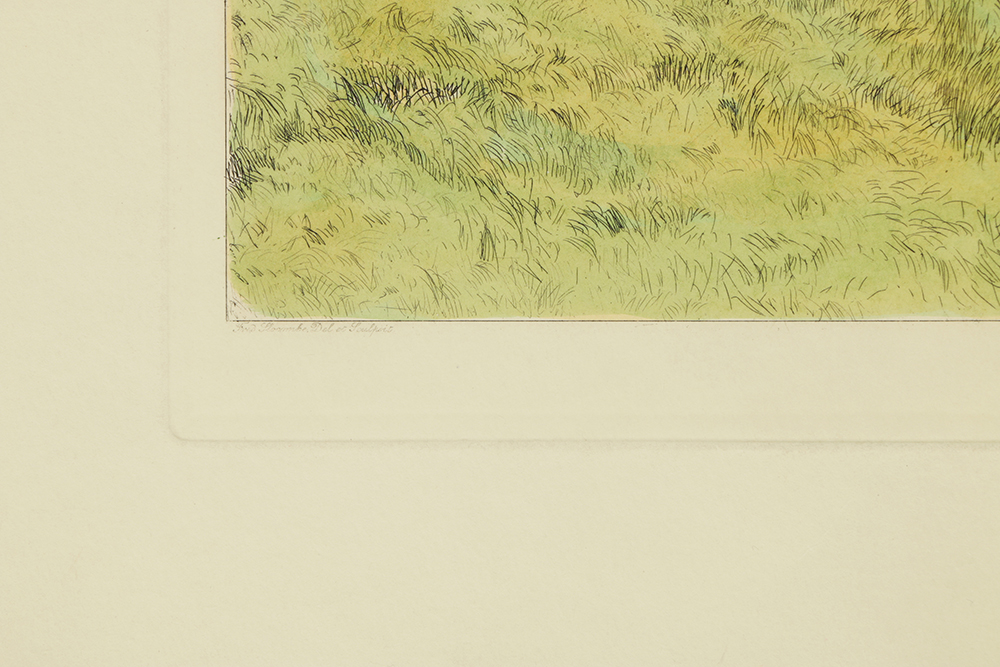 Fred Slocombe Hand-Colored Engravings on Paper