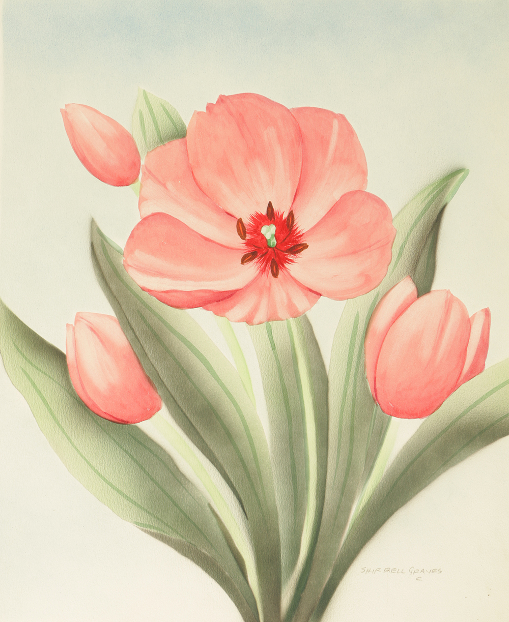 Shirrell Graves Airbrushed Watercolor Painting on Paper of Flowers