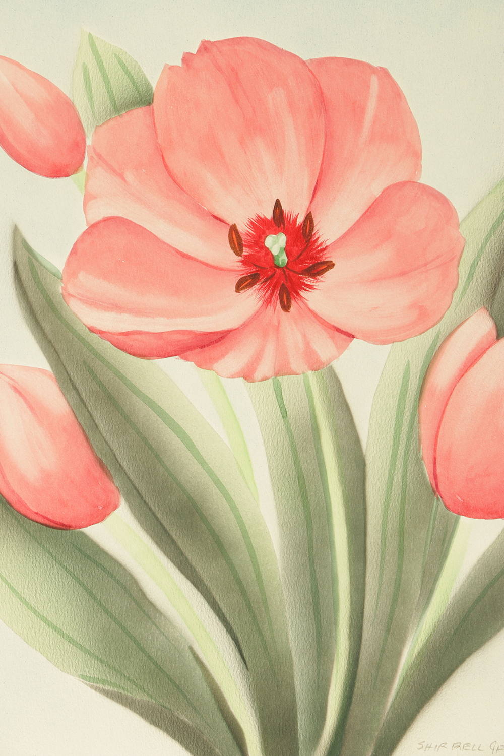 Shirrell Graves Airbrushed Watercolor Painting on Paper of Flowers