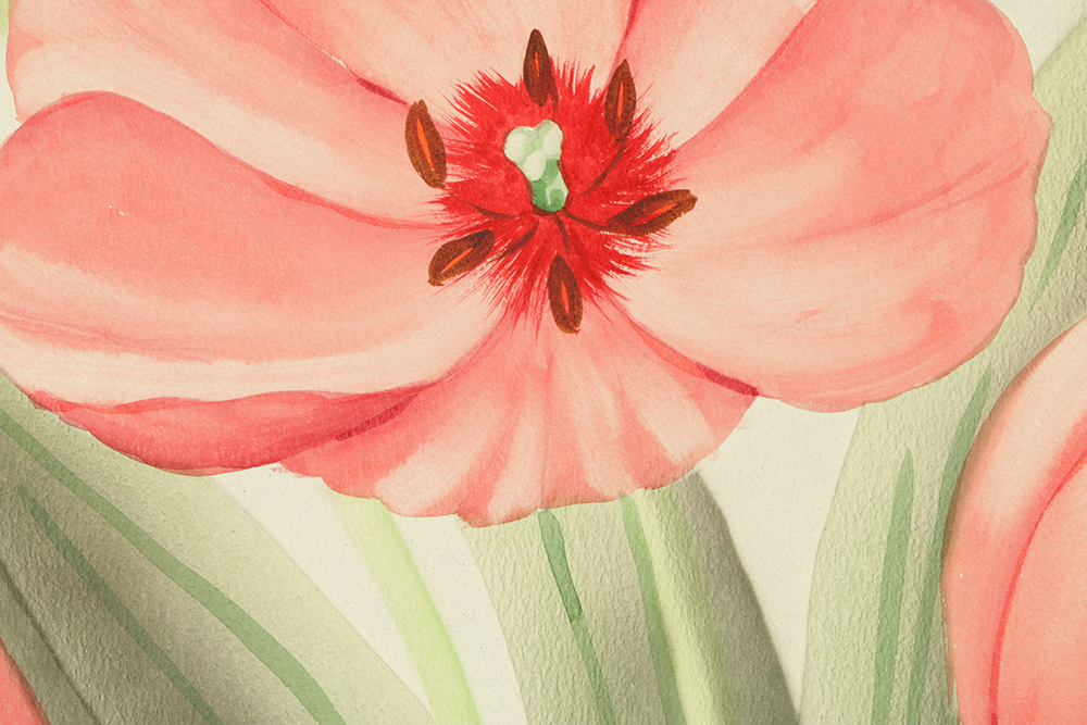 Shirrell Graves Airbrushed Watercolor Painting on Paper of Flowers