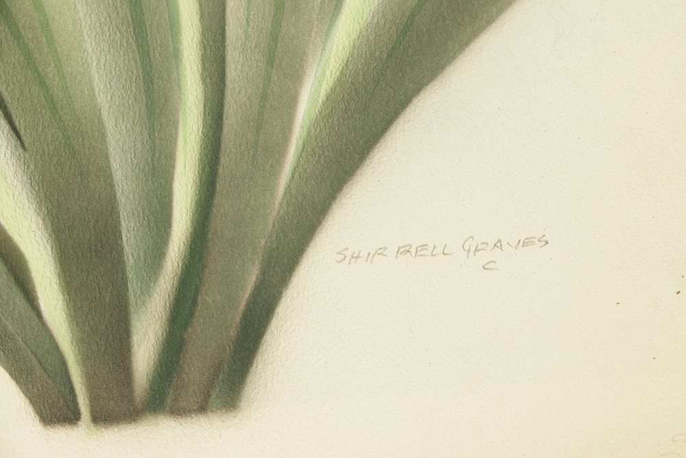 Shirrell Graves Airbrushed Watercolor Painting on Paper of Flowers