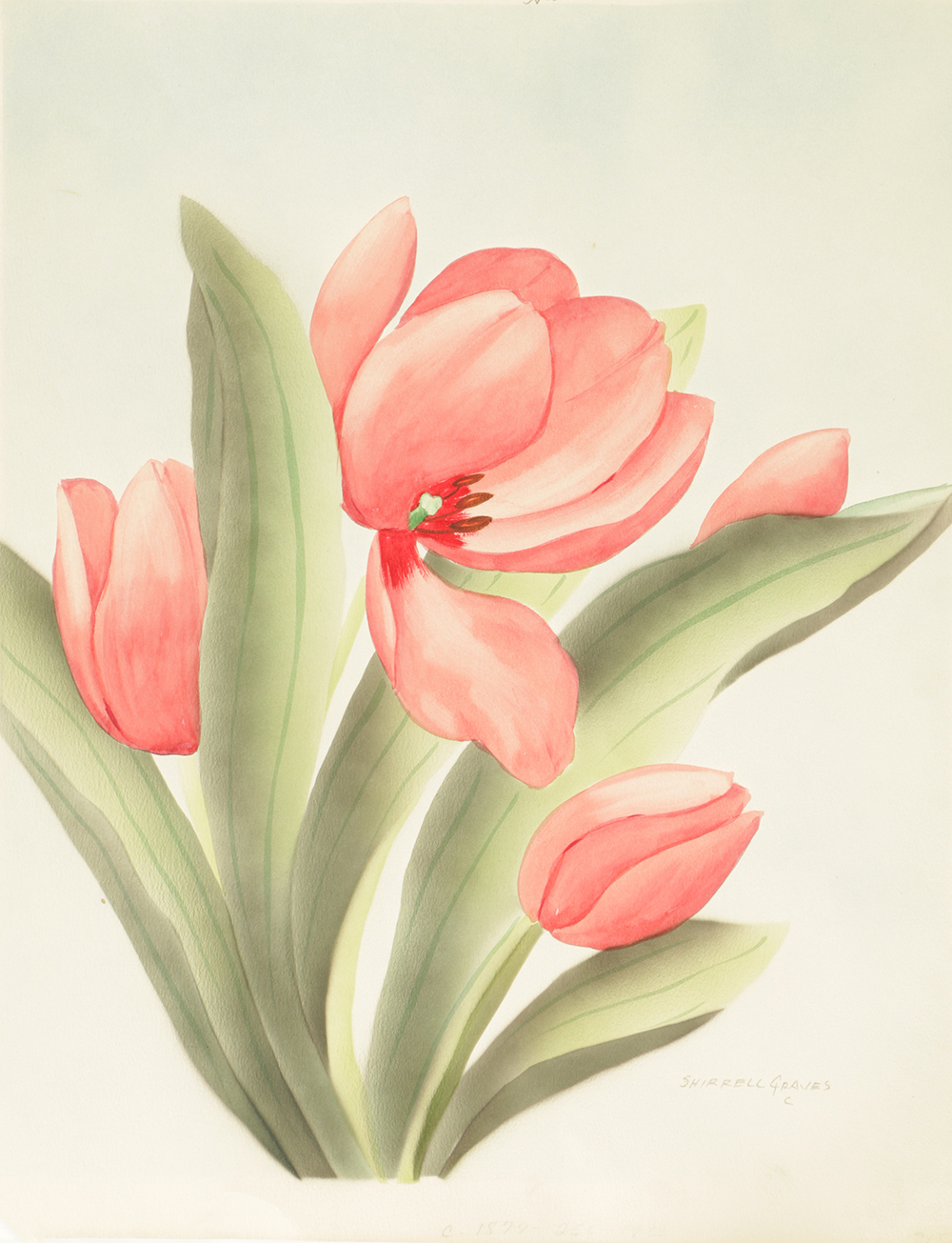 Shirrell Graves Airbrushed Watercolor Painting on Paper of Flowers