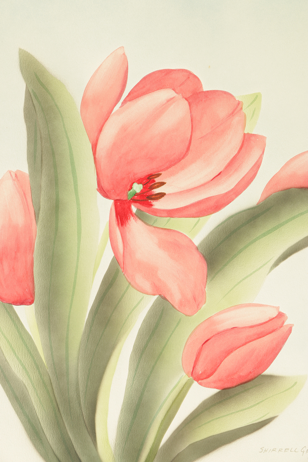 Shirrell Graves Airbrushed Watercolor Painting on Paper of Flowers