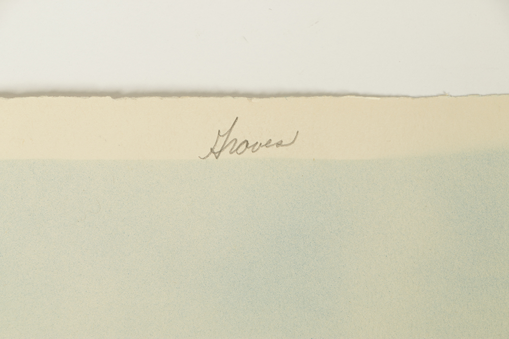 Shirrell Graves Airbrushed Watercolor Painting on Paper of Flowers