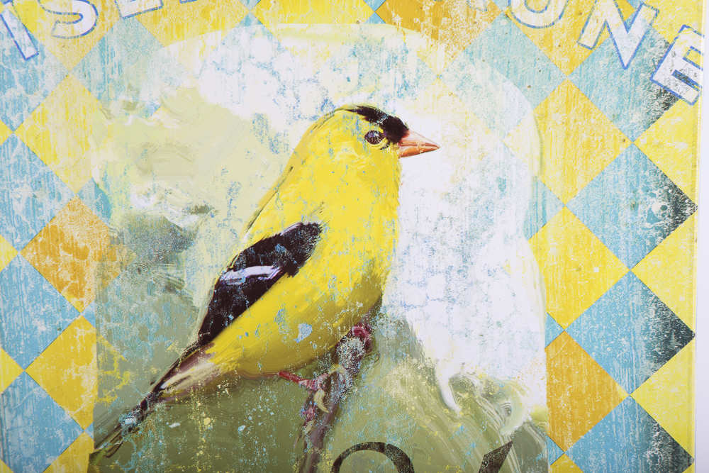 Patrick Reid O'Brien Signed Giclees Bird Motif Pair