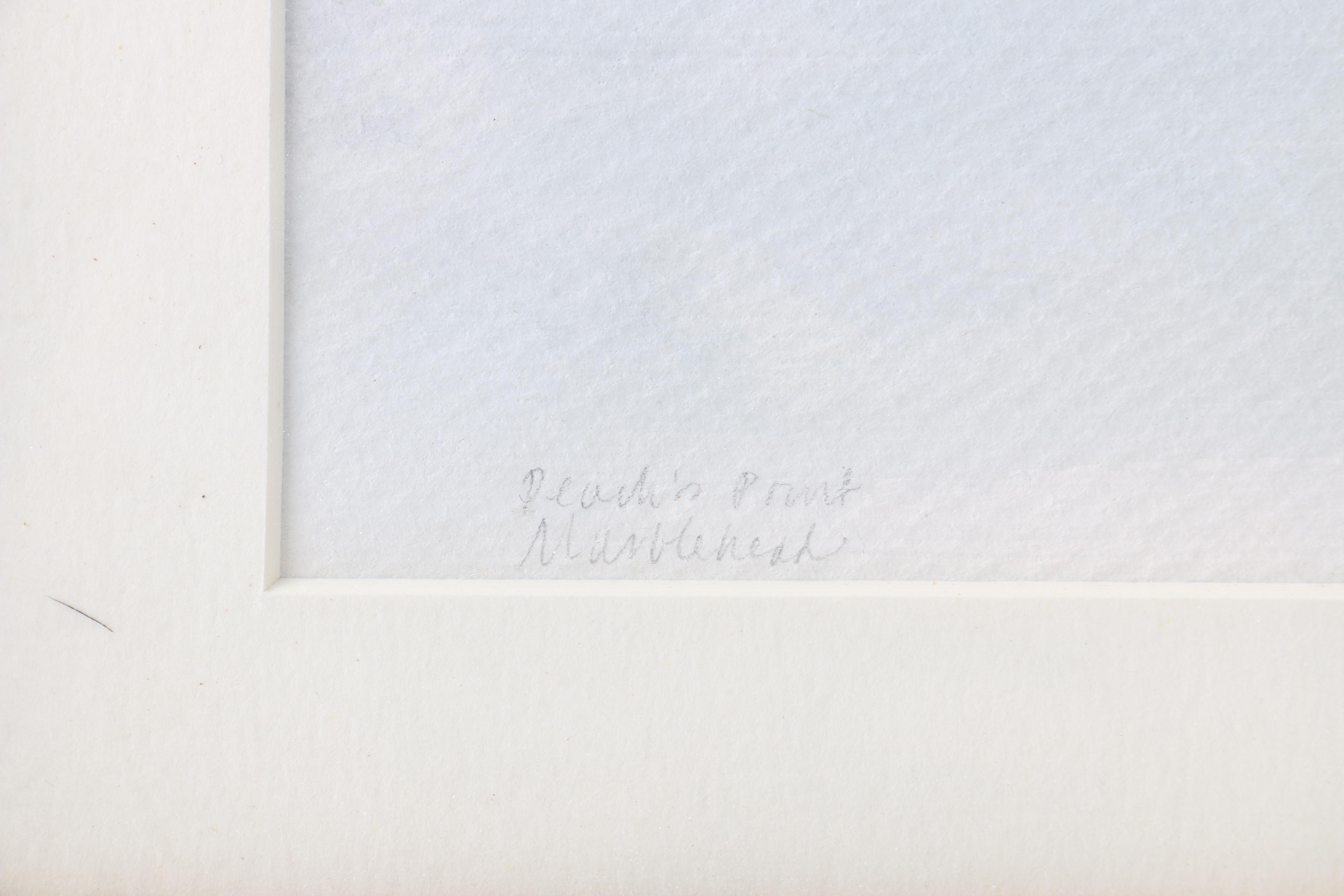 Wendy Ingram Watercolor Landscape "Peach's Point Marblehead"