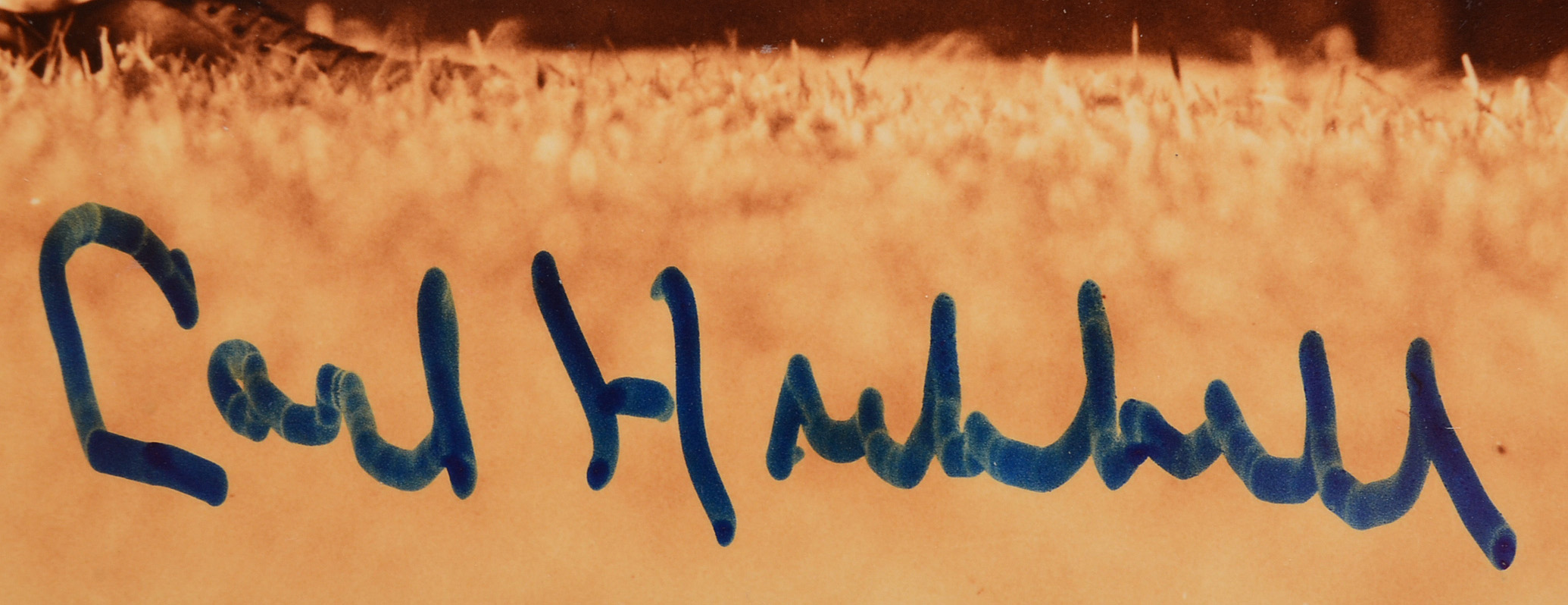 Carl Hubbell New York Giants Signed Photo