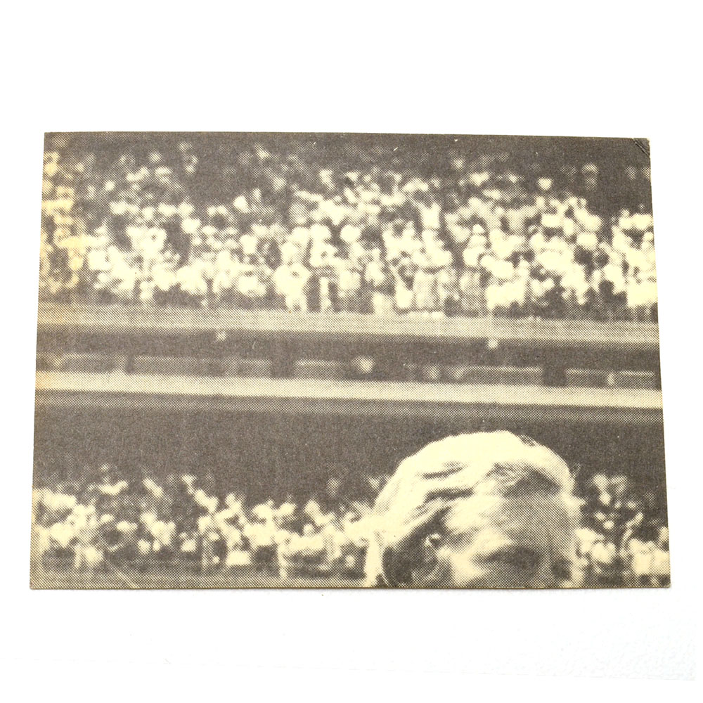 Eighteen Signed Baseball Cards, Many HOF Players