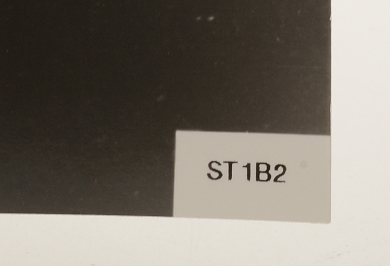 Shirley Temple "America's Sweetheart" Signed Photo