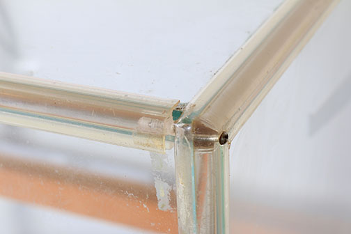 Wood and Glass Display Case