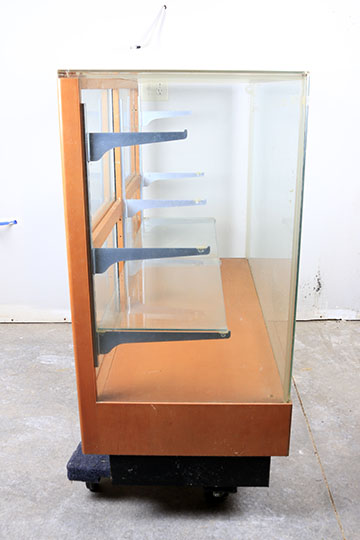 Wood and Glass Display Case