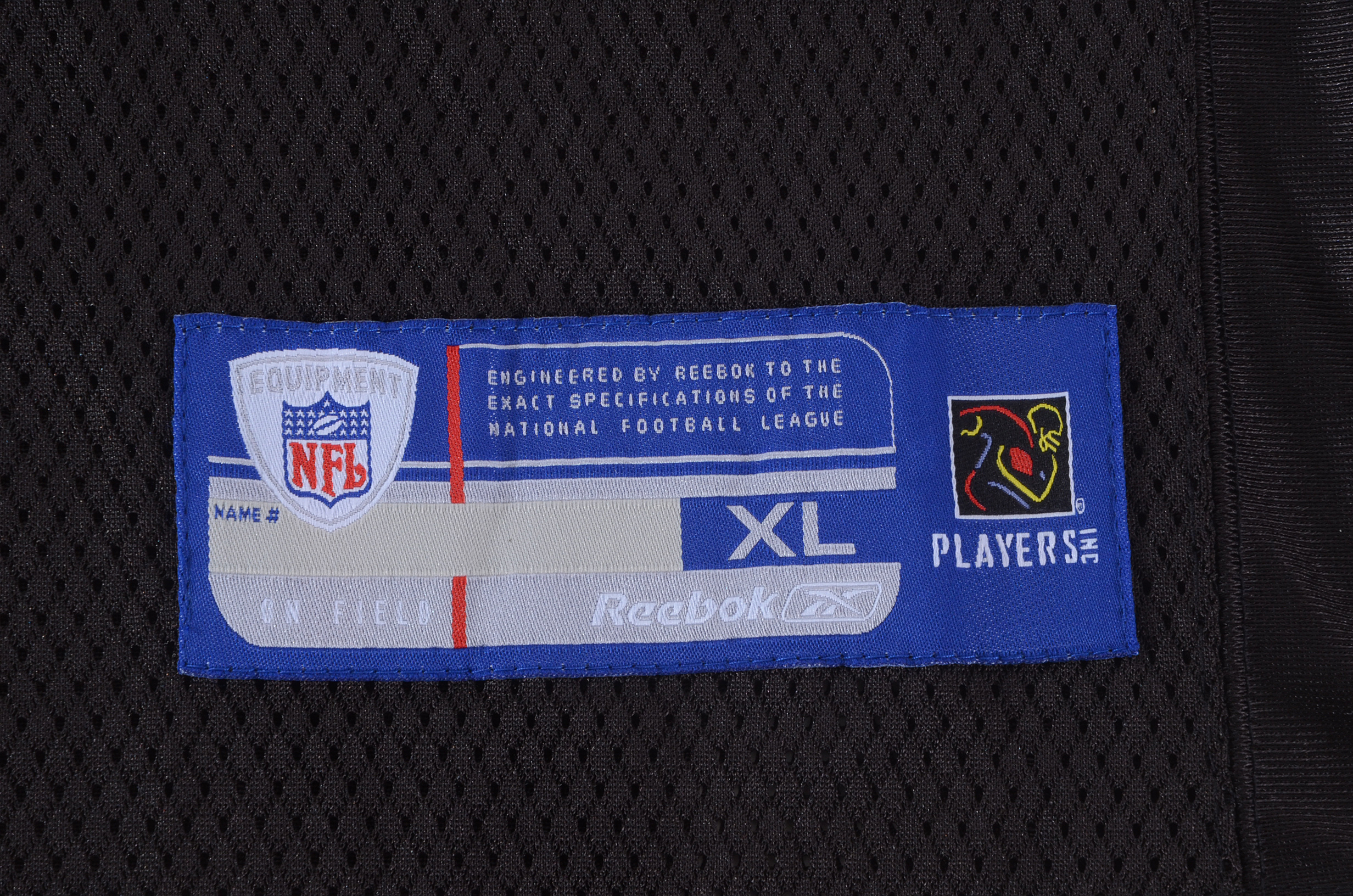 Jon Kitna Signed Lions Jersey