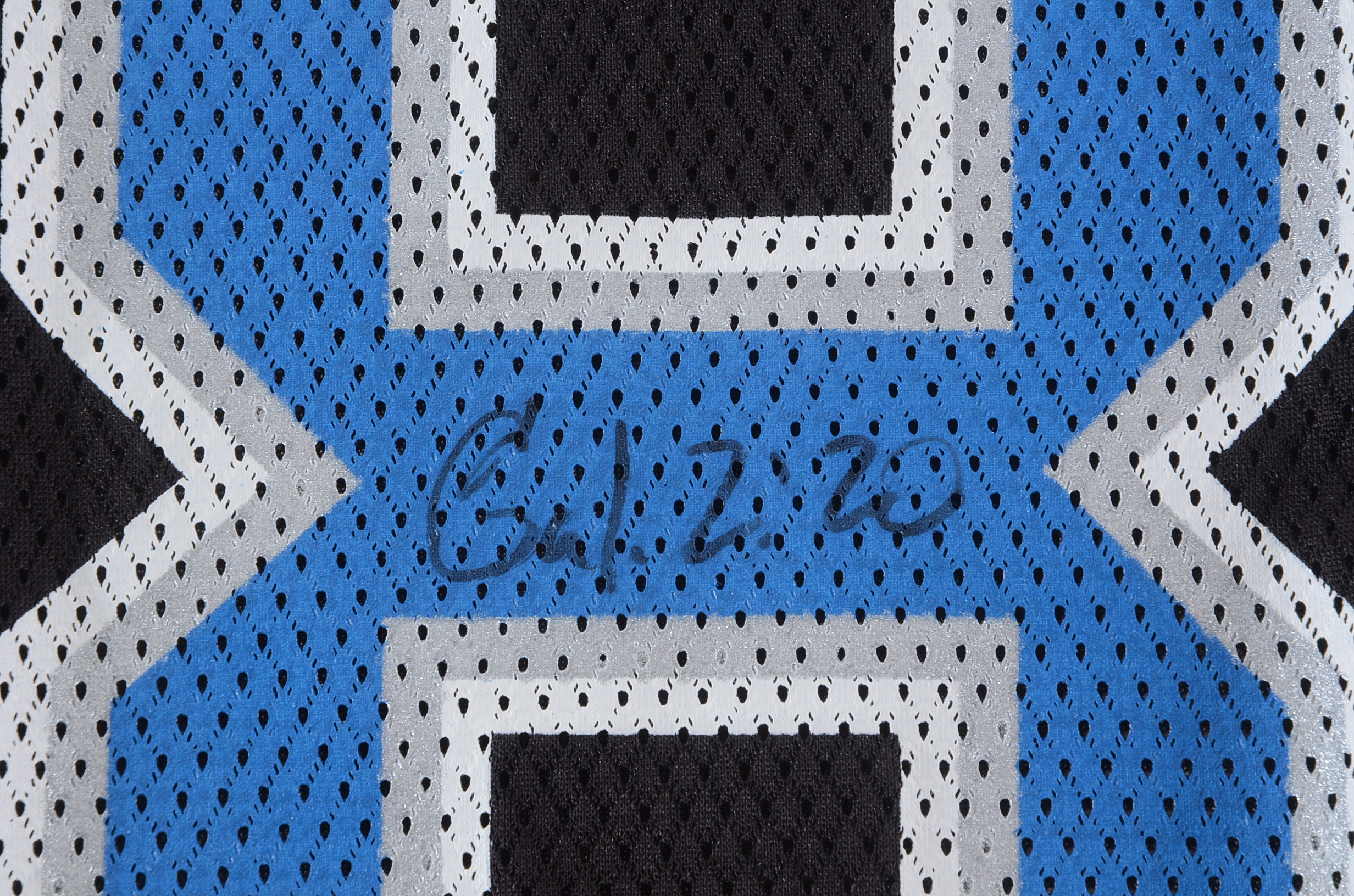 Jon Kitna Signed Lions Jersey