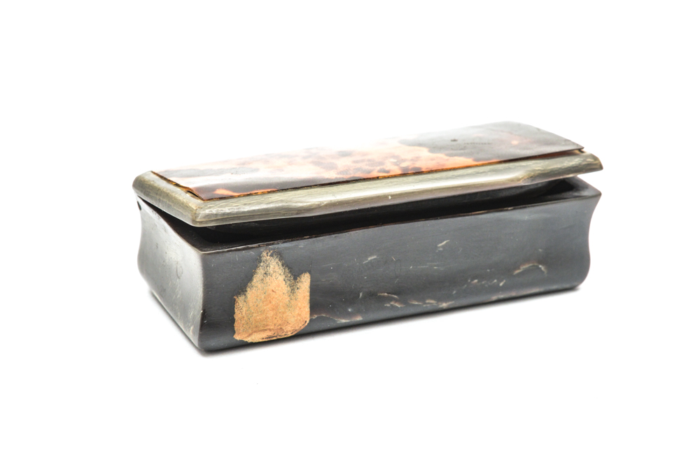 Antique Carved Horn and Tortoise Shell Snuff Box
