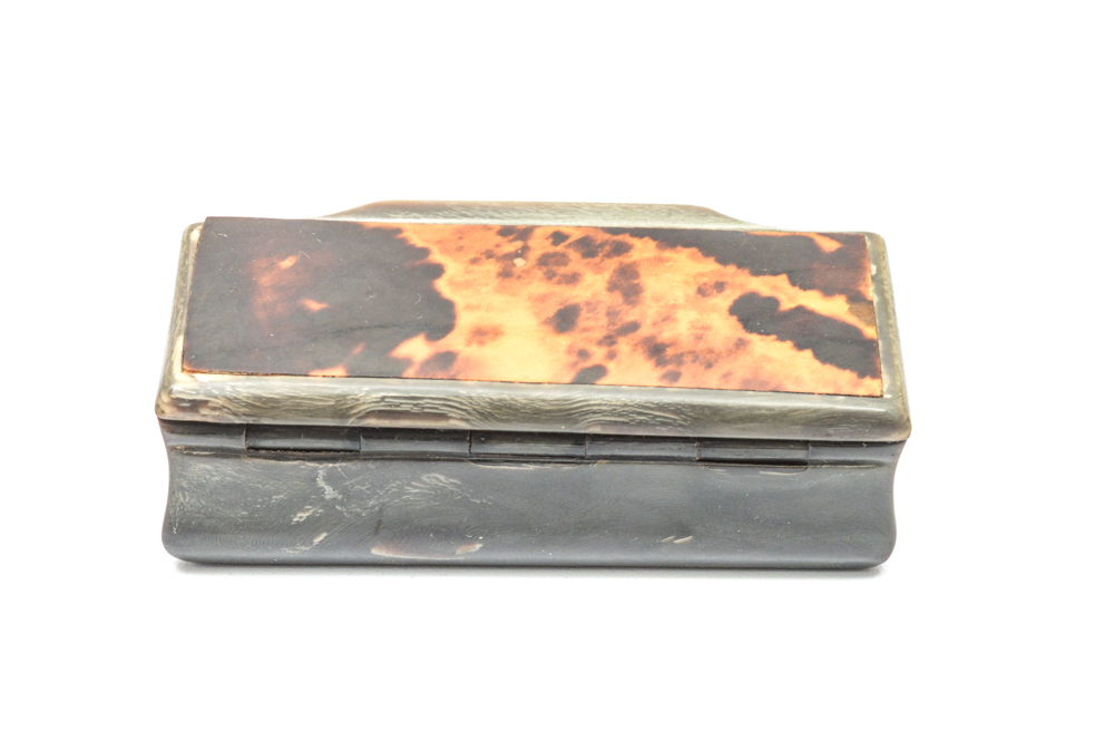 Antique Carved Horn and Tortoise Shell Snuff Box