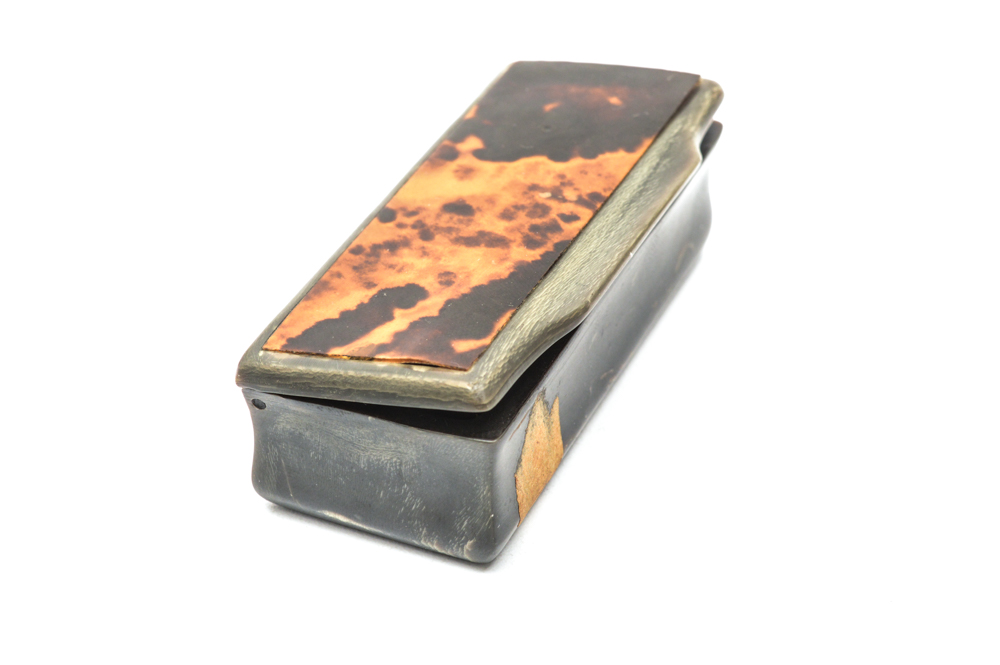 Antique Carved Horn and Tortoise Shell Snuff Box