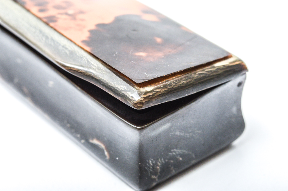 Antique Carved Horn and Tortoise Shell Snuff Box