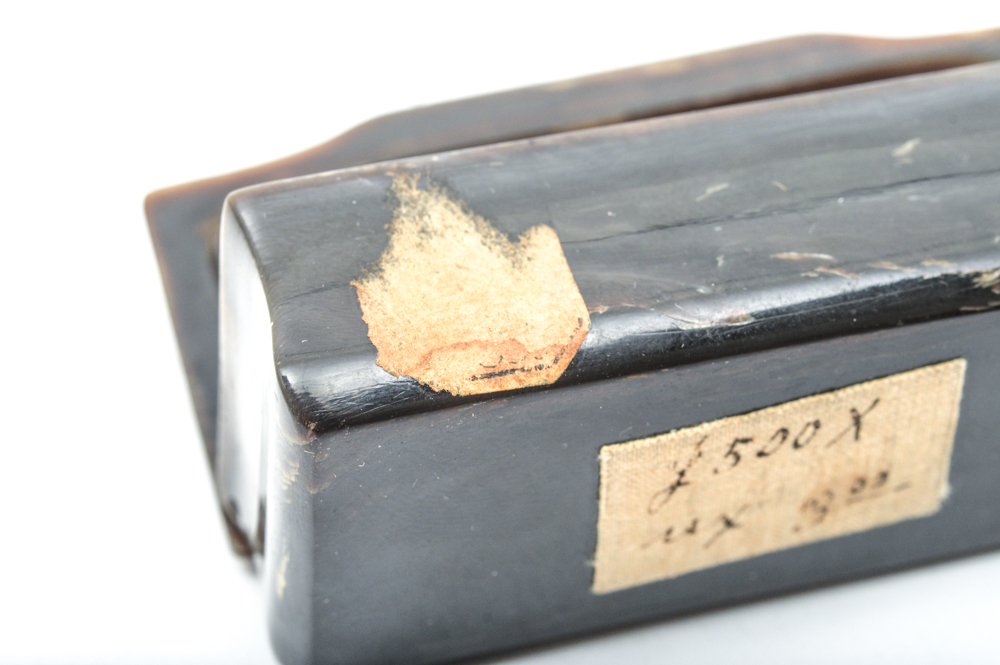 Antique Carved Horn and Tortoise Shell Snuff Box