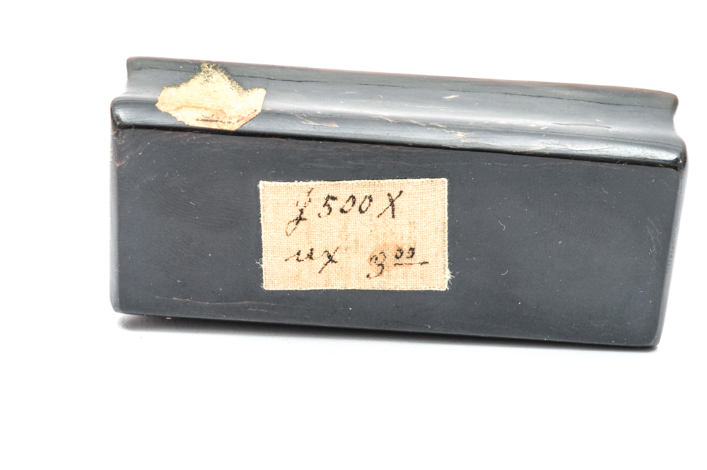 Antique Carved Horn and Tortoise Shell Snuff Box