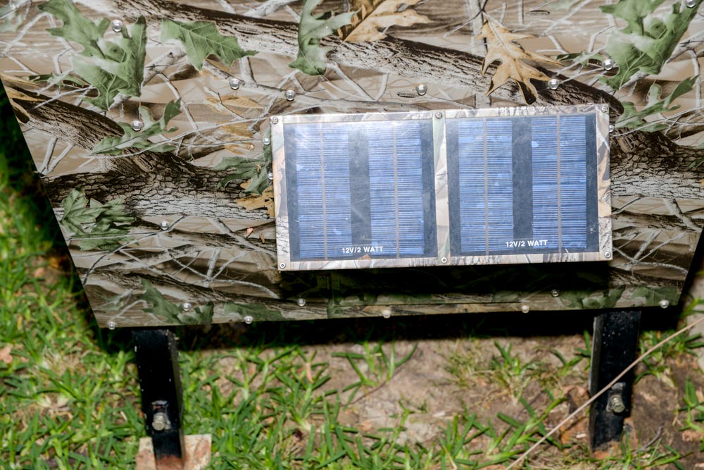 Sweeney Automated Fish Feeder