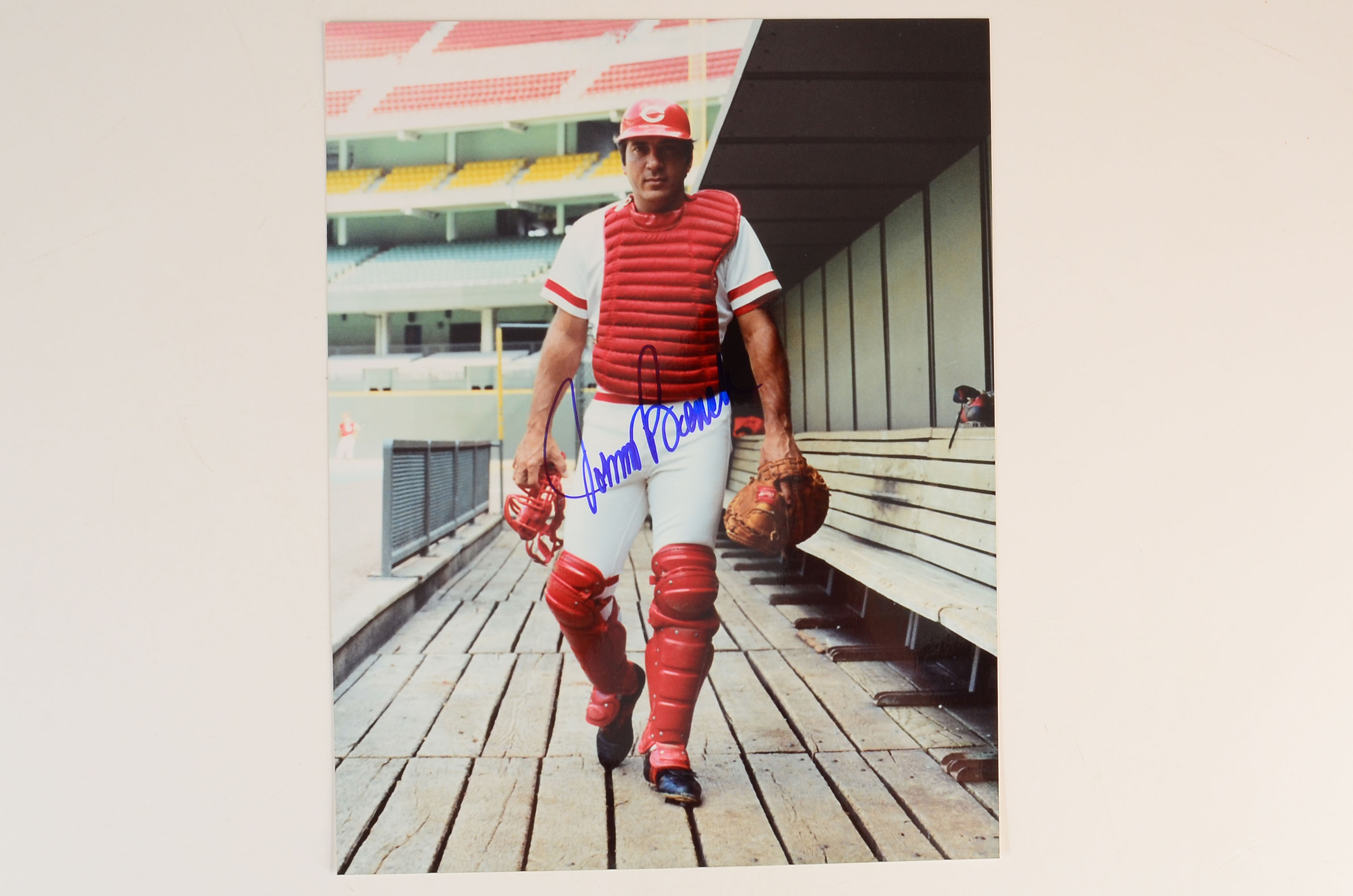 Signed Johnny Bench Reds Photo Plus Two Unsigned