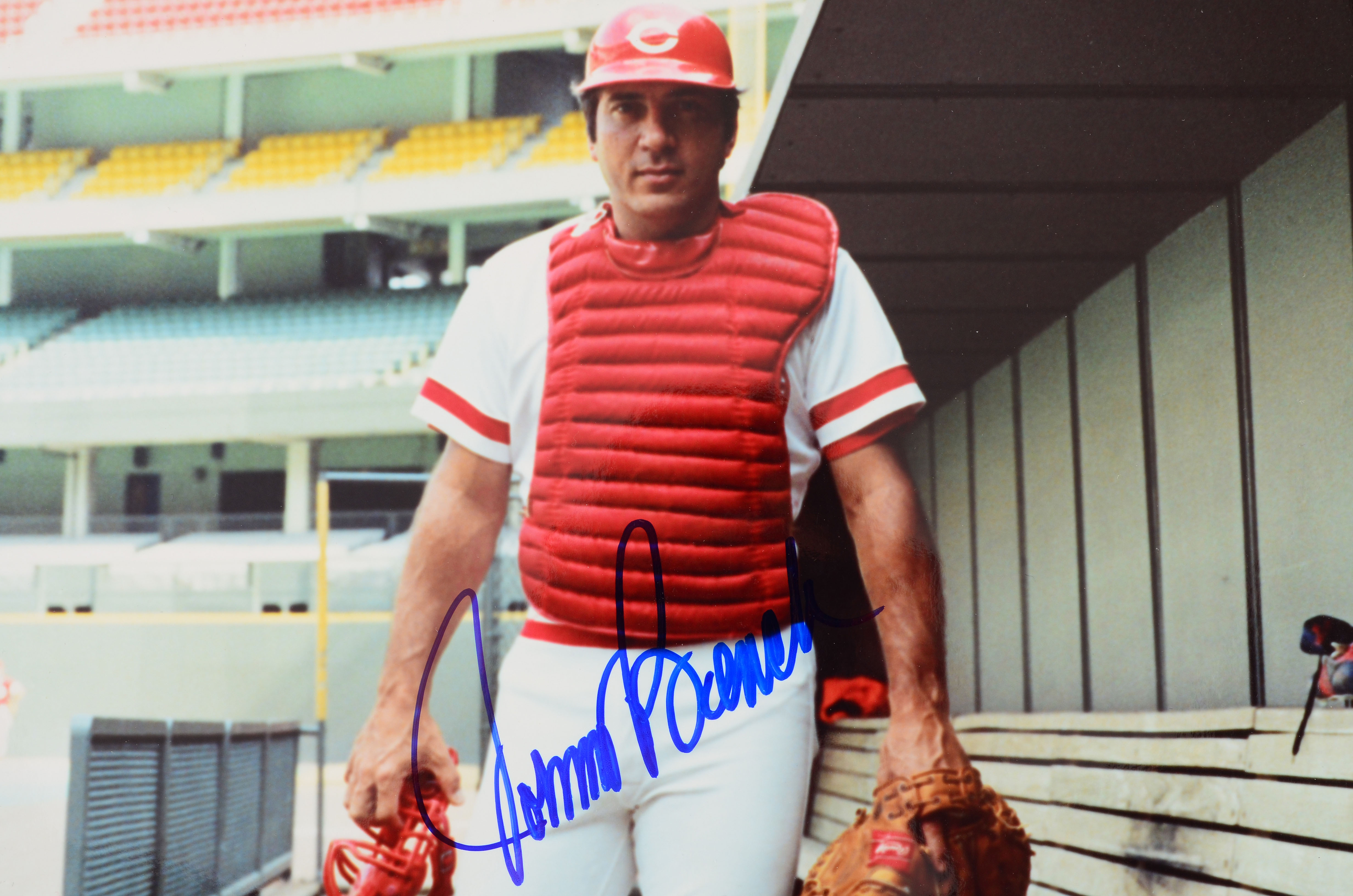 Signed Johnny Bench Reds Photo Plus Two Unsigned