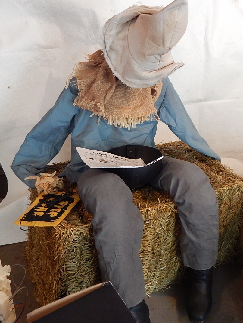 Halloween Animated Decor